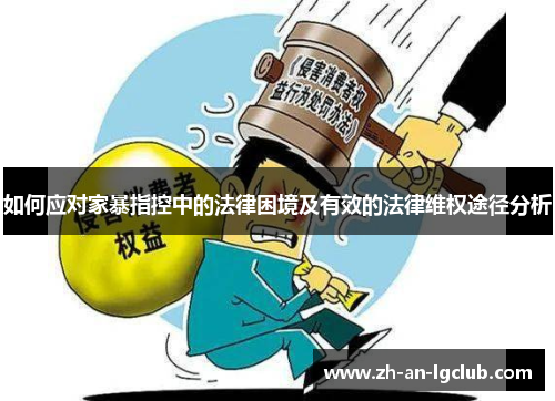 如何应对家暴指控中的法律困境及有效的法律维权途径分析 如何应对家暴指控中的法律困境及有效的法律维权途径分析