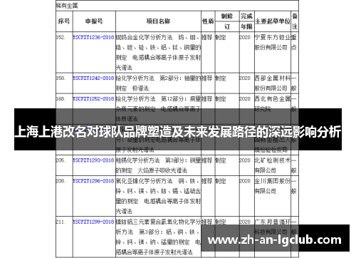 上海上港改名对球队品牌塑造及未来发展路径的深远影响分析